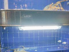 -一德轩·闽.粤料理(福州广场店)