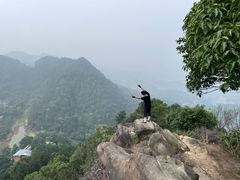 -南山植物园