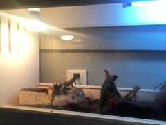 -打趸BTC·Breaktime cafe(北京路店)