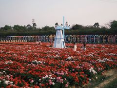 -盈香心动乐园