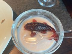 -浩运·海鲜青岛菜·海胆水饺(石老人店)