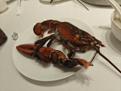 -京彩臻品火锅