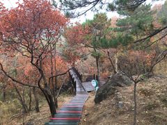 -北京十三陵国家森林公园蟒山景区