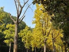 -苏州河梦清园环保主题公园