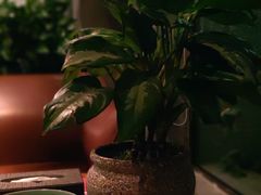 -新盈光·旗舰店(海曙苍松路店)