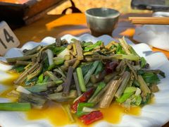 -腾冲国萍农家乐