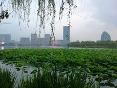 -聚龙湖公园