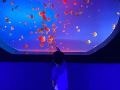 -梦幻海洋王国(吾悦广场张家港店)