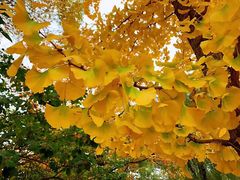 -长春奥林匹克公园