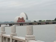 -野狸岛