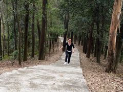 -滴水岩森林公园