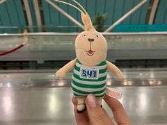 -龙阳路磁悬浮列车总站-停车场