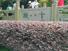 -十八棵（老龙井）御茶园(老龙井店)