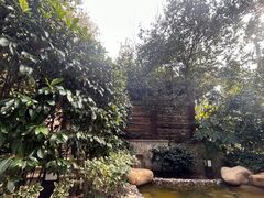 -天目湖涵田半山温泉