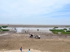 -启东黄金海滩景区