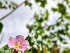-晓港公园