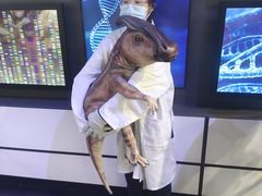 -侏罗纪世界电影特展(广州站)