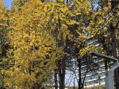 -四川大学(华西校区)