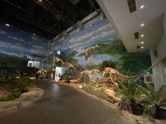 -自贡恐龙博物馆