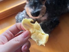 -東更道点心行(文化东路店)