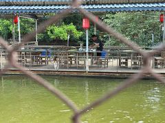 -水库河鲜村