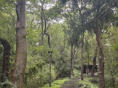 -赛百味SUBWAY(星摩尔店)