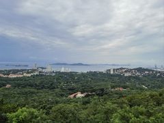 -青岛电视塔