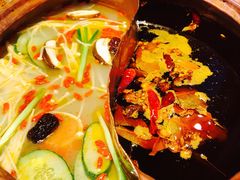 -镇江龙·火锅串串(武侯祠店)