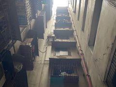 -杨记隆府(白象街店)