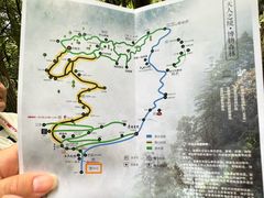 -天目山大树王景区