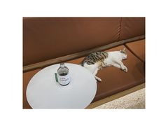 -MQ COFFEE STAND明谦(新洲店)
