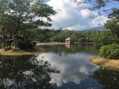 -清迈夜间动物园