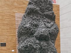-南京书画院金陵美术馆