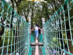 -上海共青森林公园