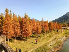 -派斯俊·本味(解放南路店)