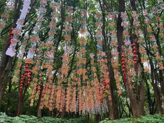 -白马涧龙池景区