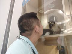 -屋虎猫馆(宝安大仟里店)
