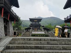 -大唐贡茶院