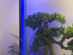 -绿茶餐厅(成都大悦城店)