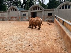 -昆明动物园