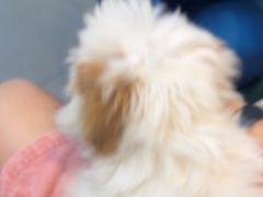 -联合动物医院(光谷诊疗中心)