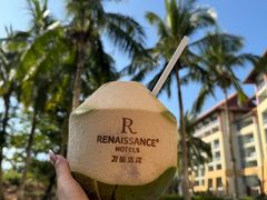 -三亚海棠湾万丽度假酒店