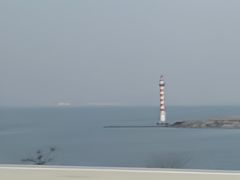 -合肥滨湖国家森林公园