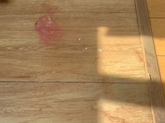 -爱侣宠医·鹦鹉专科·小型哺乳类·异宠专科(灵石路店)