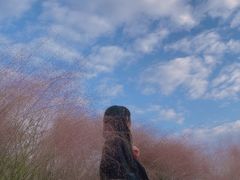 -三圣花乡旅游区