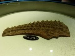 -世界恐龙谷景区