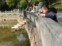 -阿育王寺素斋馆