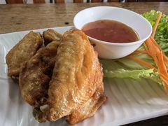 鸡翅-Kat's Kitchen