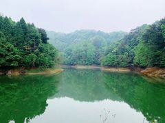 -千岛湖龙川湾