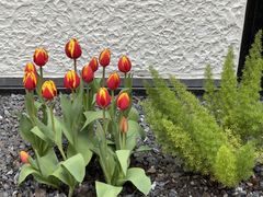 -一尺花园(安和花园店)